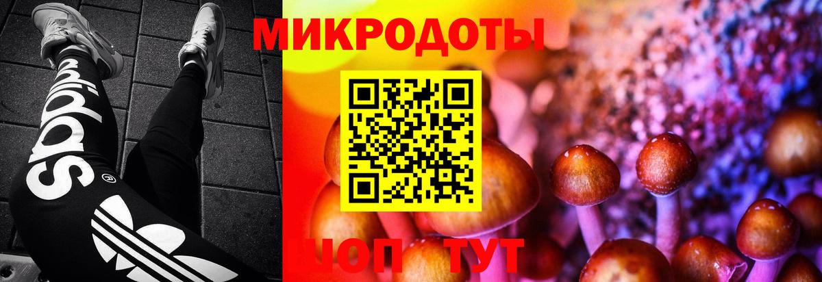 Маркс  Псилоцибиновые грибы мухоморы  Вход с VPN  где продают   Галлюциногенные грибы прущие грибы 